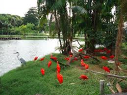 Atrações Turísticas do Pará