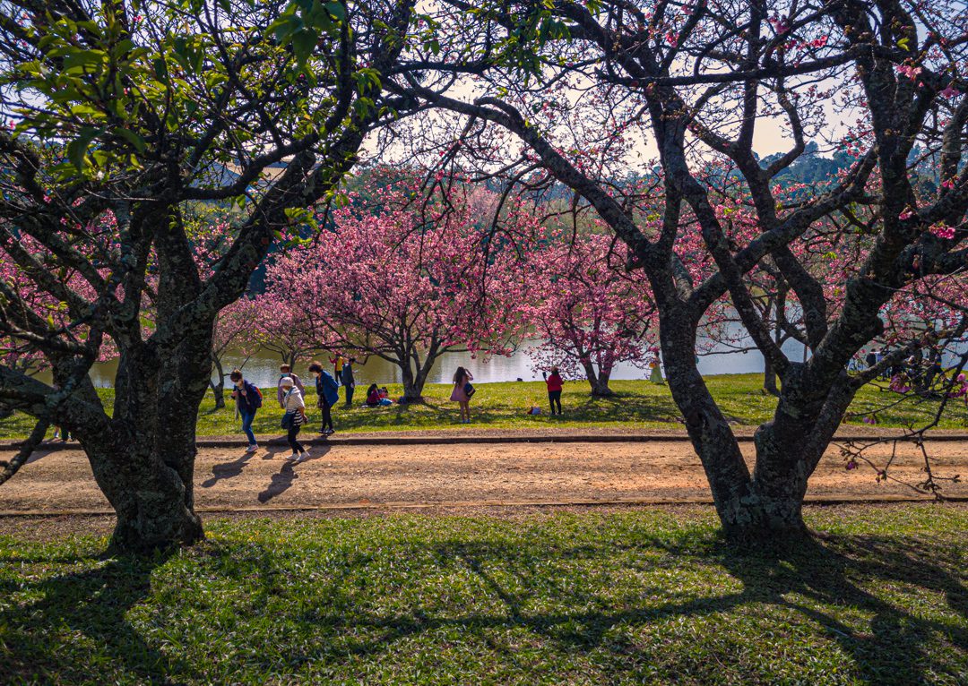 Atrações Turísticas de São Paulo Região Sorocabana